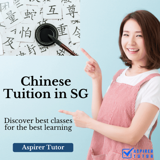 chinese tuition in singapore